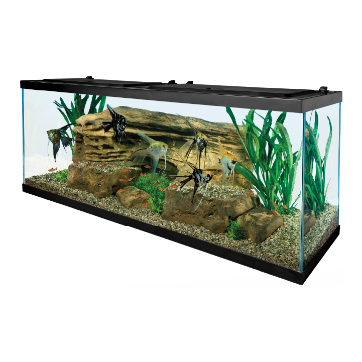 55 gallon aquarium shop hood and light